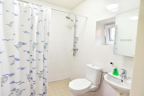 Ένα μπάνιο στο Apartmány Klimkovice
