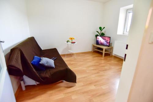 Μια τηλεόραση ή/και κέντρο ψυχαγωγίας στο Apartmány Klimkovice
