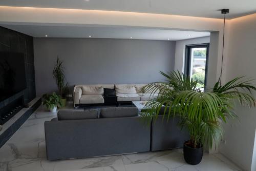 a living room with a couch and two potted plants at Luxury Loft with Pool close to Munich 130qm in Petershausen