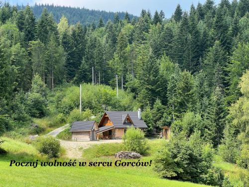 eine Blockhütte mitten im Wald in der Unterkunft Górska Osada Śleboda in Zasadne