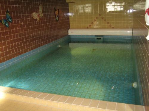 Piscina de la sau aproape de Haus Daut FeWo mit Hallenbad