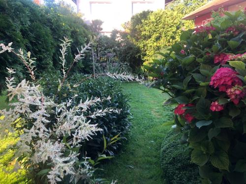 Gallery image of Apartman Balkan in Visoko