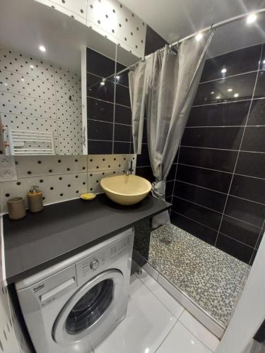 une salle de bain avec une machine à laver et un lavabo dans l'établissement Studio village naturiste Cap d'Agde Rte 69, au Cap d'Agde