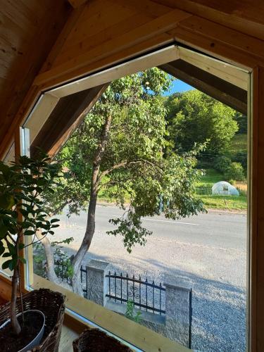 a window view of a tree from a house at Etno kuca Lana in Mojkovac