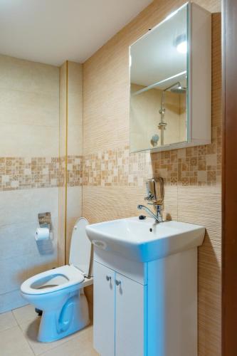 a bathroom with a sink and a toilet and a mirror at Cabana Nemtisor in Nemţişor