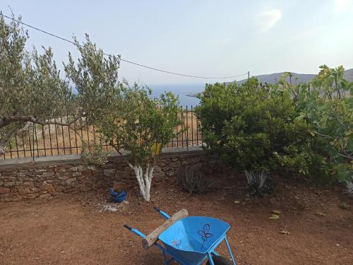 a blue chair sitting in a yard next to trees at Akrotirio Tainaro House in Marmari