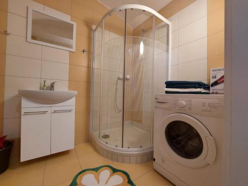 a bathroom with a shower and a washing machine at Apartmán ČSA #2# v historickém centru Hradec Králové in Hradec Králové