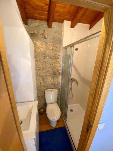 a small bathroom with a toilet and a shower at Casa da iapa in Soajo