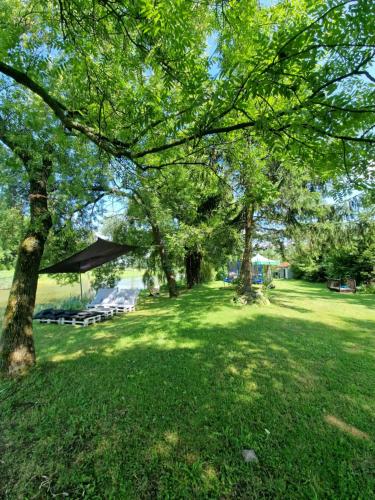 a park with trees and a picnic table in the grass at Noclegi nad Wodą in Brzeźnica