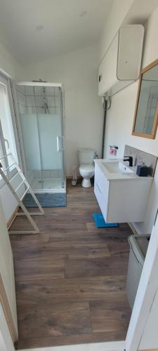 une salle de bain avec toilettes, lavabo et douche dans l'établissement Maison de ville refaite à neuf, à Bourbourg