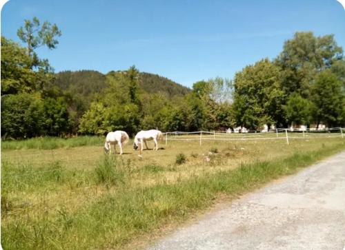 Photo de la galerie de l'établissement Spacieux appartement calme, à Pouzac