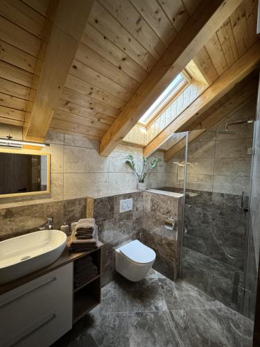 a bathroom with a sink and a toilet and a shower at Ubytování Blahovi in Klentnice