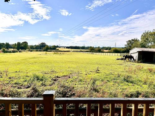 two horses grazing in a field next to a fence at Barons Granary, The Chicken Run, Iden near Rye in Iden