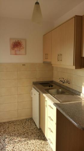 Dapur atau dapur kecil di Kastoria Hotel Apartments