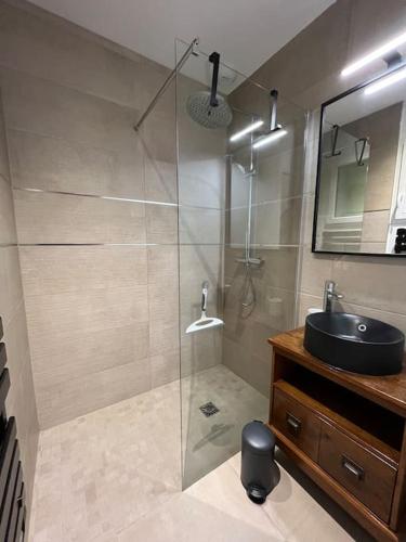 une salle de bain avec une douche en verre et un lavabo dans l'établissement Spa, Climatisation, Piscine chauffée, Pétanque et Calme au Bassin d'Arcachon, au Teich