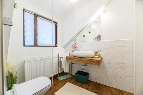 a bathroom with a sink and a toilet at Dallure House Boutique Brasov in Braşov