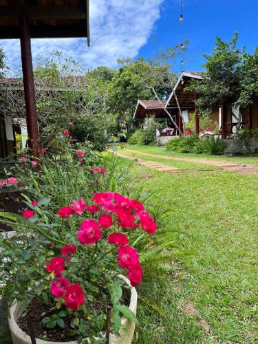 a group of red flowers in a yard at Pousada Jardim da Chapada in Chapada dos Guimarães