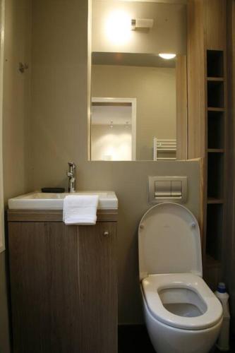 une salle de bain avec toilettes, lavabo et miroir dans l'établissement The Eifel Tower Artist Loft, à Paris