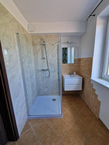 a bathroom with a shower and a sink at Siedlisko Żurawie in Zamarte