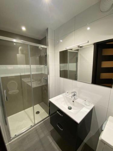 a bathroom with a sink and a shower at Apartament Golden Five in Mielec