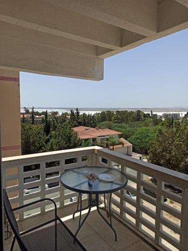 ideal famille panoramic view lac salé