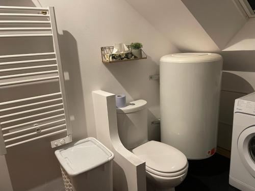 une petite salle de bain avec toilettes et lavabo dans l'établissement Charmante petite maison de pays à 200 m du Golfe, à Sarzeau