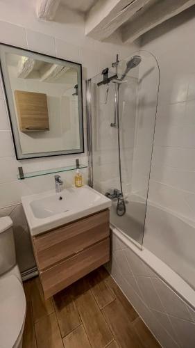 une salle de bain avec un lavabo et une douche dans l'établissement Family apartment, next to Versailles Palace, à Buc