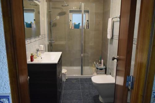 a bathroom with a shower and a toilet and a sink at Casa na Aldeia in Alburitel