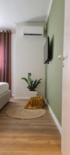 a living room with a couch and a plant on the floor at LA Comfy AP in Sarandë