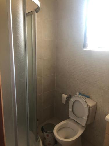a small bathroom with a toilet and a shower at Kiotari Stone House in Gennadi