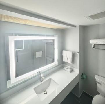 a bathroom with a sink and a window and a toilet at Namaste Inn & Suites Dawsonville in Dawsonville