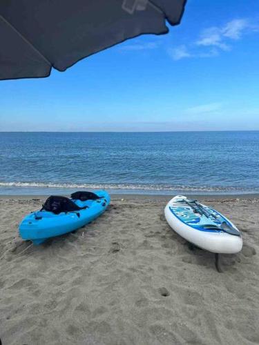 Φωτογραφία από το άλμπουμ του Acogedora Cabaña con Piscina y kiosco de playa σε Omoa