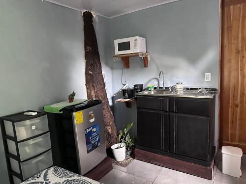 a small kitchen with a sink and a microwave at Torito's room in Carrillo