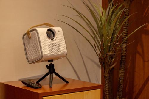 a tv sitting on a stand next to a plant at Surim Hotel Sokcho by AanK in Sokcho