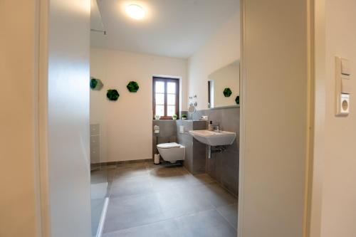 a bathroom with a sink and a toilet at Fachwerk Design-Apartment Sinsheim in Sinsheim