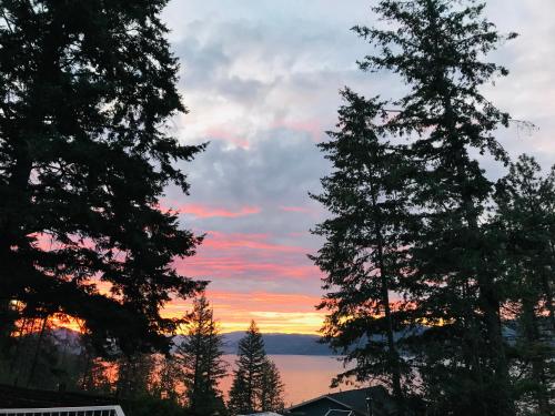 a sunset seen through the trees of a house at Blarney Place Retreat in Vernon