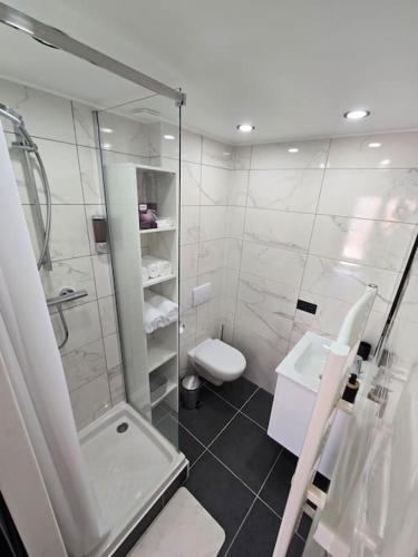 une salle de bain avec une douche, des toilettes et un lavabo dans l'établissement Appartement T2 en duplex, à La Verpillière
