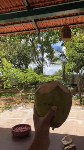 a person holding a green coconut in their hand at Aastha homestay in Mysore