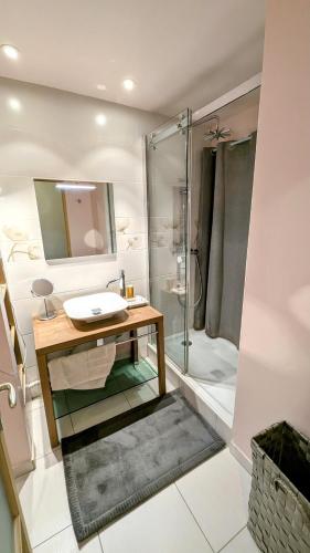a bathroom with a sink and a shower at Balcon du Cube in Saint-André-les-Vergers