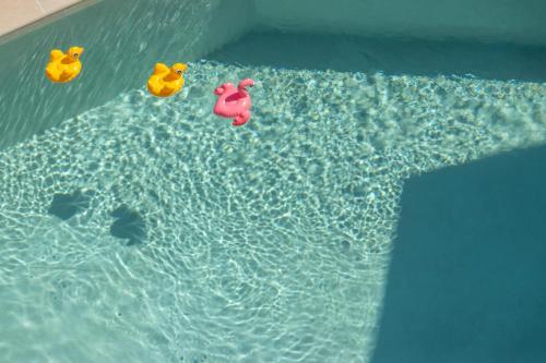 two rubber ducks floating in a swimming pool at Ntinas Seaside Suites in Skala Potamias