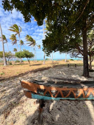 a bench sitting on the beach under a tree at Chuiba Palms in Pemba