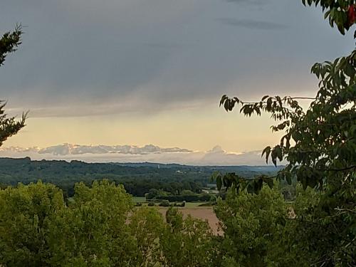 - une vue depuis le sommet d'une colline plantée d'arbres dans l'établissement La Tuilerie, à Barcelonne-du-Gers
