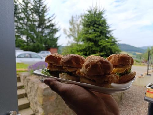 a person holding a plate with sandwiches on it at Sowi Gościniec Wellness & Breakfast in Sokolec