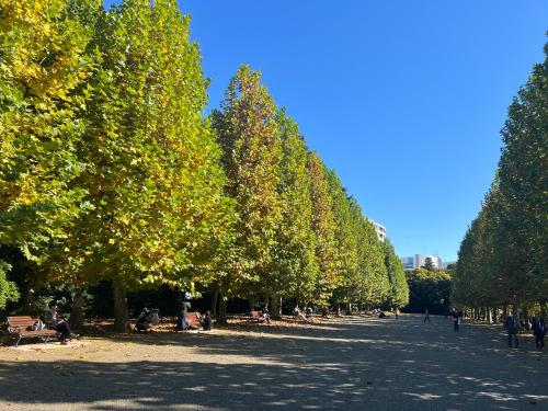 a row of trees lining a street in a park at Hotel Resol Ikebukuro in Tokyo