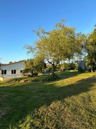 Κήπος έξω από το Gîte de la ferme L'Archerie
