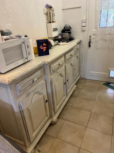 a kitchen with a counter top with a microwave at Pavillon chez Michel corse in Poggio-Mezzana