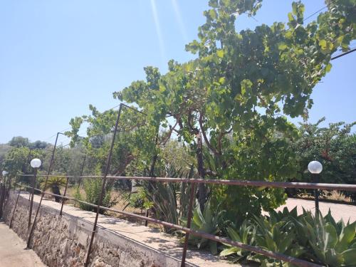 a fence in front of a garden with trees at VILLA L&M in Floridia