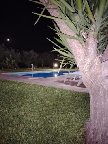 a palm tree sitting next to a pool at night at VILLA L&M in Floridia