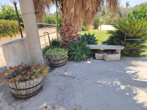 a park with a bench and a bunch of plants at VILLA L&M in Floridia