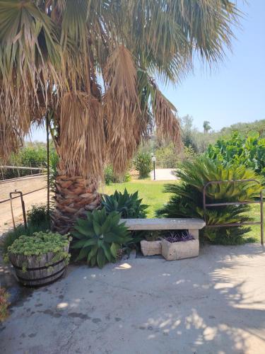 a park bench sitting under a palm tree at VILLA L&M in Floridia